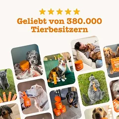 Zesty Paws Hip & Joint lašišų aliejus, papildas, 125 - 249 g — 5 nuotrauka
