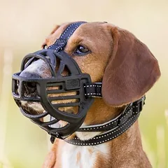 Trixie antsnukis Flex, guminis, Mažiems 5–10 kg — 3 nuotrauka