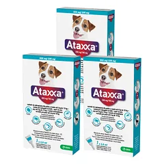 3x KRKA Ataxxa 500 mg/100 mg lašai šunims, sveriantiems nuo 4 kg iki 10 kg