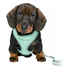 Trixie petnešos su pavadėliu šuniukams, M-L (36-50 cm/10 mm, 2 m), mėtinės — 2 nuotrauka