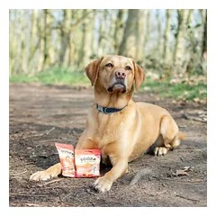 SOOPA Mango ir aviečių lazdelės šunims, Mango & Raspberry Dog Dental Sticks, 100g — 5 nuotrauka