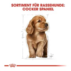 Royal Canin Cocker Puppy sausas maistas šuniukams — 5 nuotrauka