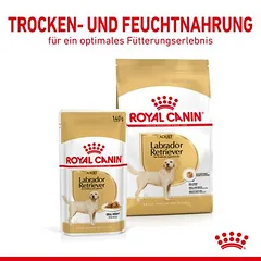 Royal Canin Labrador Retriever Adult padaže, drėgnas maistas šunims — 5 nuotrauka