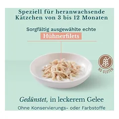 Schesir Jelly Pouch drėgnas maistas katėms 6 x 85 g — 4 nuotrauka