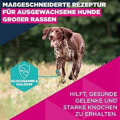 Eukanuba Premium Nutrition Adult Large & Giant Breed su lašiša, sausas maistas šunims, Ekonominė pakuotė: 2 x 12 kg — 3 nuotrauka