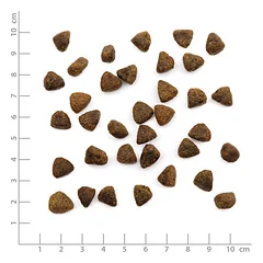 WILDES LAND Classic Adult Sterilised sausas maistas sterilizuotoms katėms su vištiena, 400g — 3 nuotrauka