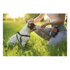 KONG Treat Bag – skanėstų dėklas — 4 nuotrauka