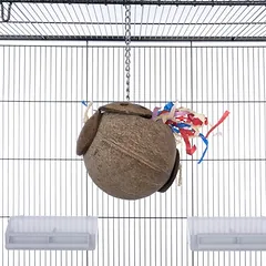 TIAKI kokoso riešuto kabinėjimo ir ėdimo žaislas paukščiams, apie Ø 15 x H 30 cm — 2 nuotrauka