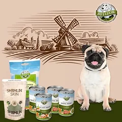 Bellfor mopsų maisto rinkinys, drėgnas maistas šunims