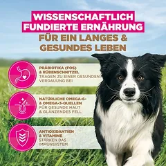 Eukanuba Grain Free Adult Small & Medium su vištiena, sausas maistas šunims — 5 nuotrauka