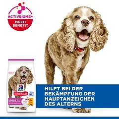 Hill's Science Plan Senior 11+ Small & Mini su vištiena, sausas maistas šunims — 4 nuotrauka