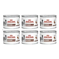 Royal Canin Vet Dog/Cat Recovery 195 g x 6