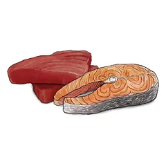 Gosbi Fresko Cat Adult Tuna&Salmon in Jelly konservai suaugusioms katėms su tunu ir lašiša (su žele) 70 g — 2 nuotrauka