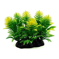 AQUA NOVA plastikinis augalas žalia/gelsva 13cm