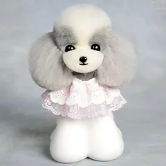 Mr. Jiang Teddy galvos plaukai - keičiami kailiai Teddy kirpimo galvai, pilka, Biała — 2 nuotrauka