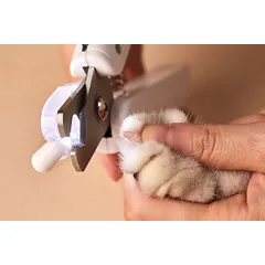 Šunų nagų kirpimo žnyplės PETKIT LED Light Nail Clipper