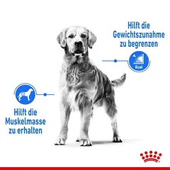 Royal Canin Maxi Light Weight Care sausas maistas šunims — 3 nuotrauka