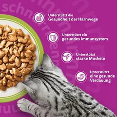 Whiskas Megapack Senior maišeliai, drėgnas maistas katėms 24 x 85 g — 4 nuotrauka