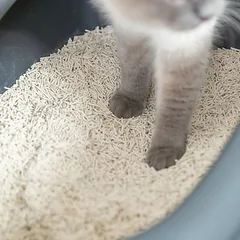 Trixie sugrumuliuojantis tofu kraikas katėms, 10 l / 4,5 kg — 4 nuotrauka