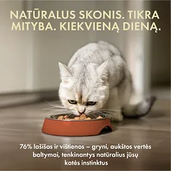 Visų veislių suaugusių kačių šlapias pašaras su lašiša ir vištiena, 85 g — 2 nuotrauka