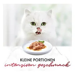 18 + 6 dovanų! 24 x 50 g Gourmet Mon Petit drėgnas maistas katėms — 3 nuotrauka