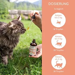 Wolfsbacher Natur lašišų aliejus katėms, 100 ml — 3 nuotrauka