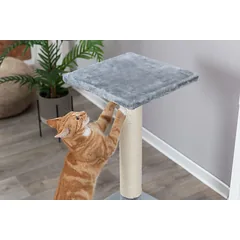 TRIXIE Baena draskyklė stulpas, 69 cm, pilka — 4 nuotrauka