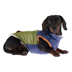 TIAKI striukė šunims Stripes, Mažiems 5–10 kg — 3 nuotrauka