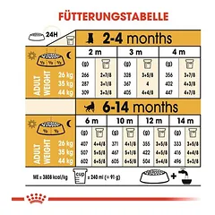 Royal Canin German Shepherd Puppy sausas maistas šunims, 3 - 4,9 kg — 5 nuotrauka
