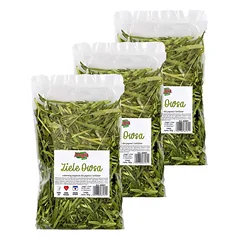 ALEGIA avižų žolė 3x80g