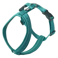Hurtta Casual Y-Geschirr peacock (petrol)