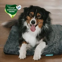Manuly rinkinys | šunų izoliacinis kilimėlis su ilgo plauko Aqua užvalkalu, Mažiems 5–10 kg — 2 nuotrauka