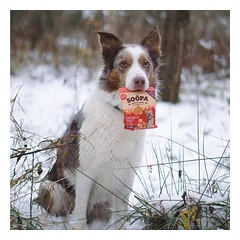 SOOPA Imbierinių meduolių skonio skanėstai šunims, Gingerbread Biscuit Dog Treats, 50g — 4 nuotrauka