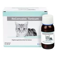 Alfavet ReConvales Tonicum Katze