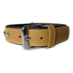 Das Lederband Hundehalsband Roma sand/schwarz