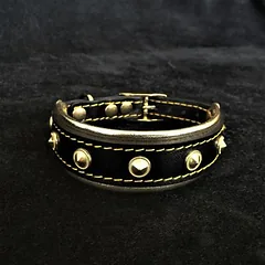 Bestia Welpenhalsband Maxi