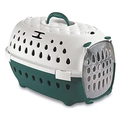 Gulliver 1 Travel chic green