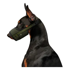 WAUDOG PRO tinklinis antsnukis šuniui, chaki, M — 3 nuotrauka