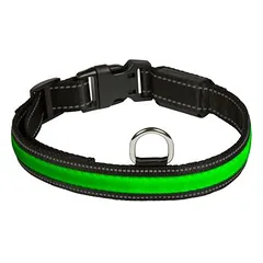 Eyenimal šviečiantis RGB antkaklis, Dideliems 26–45 kg — 4 nuotrauka