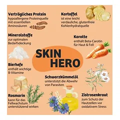 BugBell Skin Hero