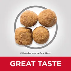 Hills Sience Plan Large Breed Canine Adult Lamb & Rice ėdalas šunims su ėriena ir ryžiais 14kg — 3 nuotrauka