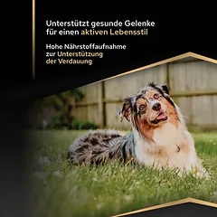 PURINA PRO PLAN Medium Adult Everyday Nutrition sausas maistas šunims, 5 - 9,9 kg — 3 nuotrauka