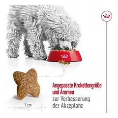 Royal Canin Mini Adult sausas maistas šunims, 3 - 4,9 kg — 5 nuotrauka