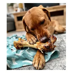 Stručio kaulas šunims - Paddock Farm Ostrich Dino Bone — 2 nuotrauka