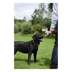 Ekologiškas pliušinis žaislas šunims – Country Dog Buddy — 3 nuotrauka