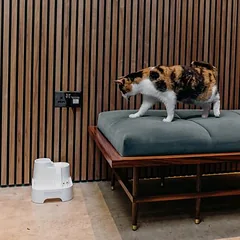 Cat Mate geriamasis fontanas, 2 l, Priedas: pakaitiniai filtrai (2 vnt., minkštam vandeniui) — 2 nuotrauka