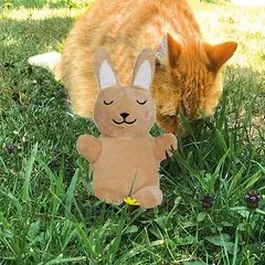 Aumüller Baldi-Bunny glamonėjimosi triušiukas — 5 nuotrauka