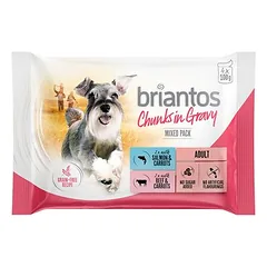 Briantos Frischebeutel Probiermix 4 x 100 g
