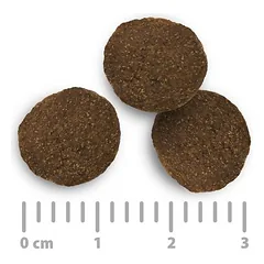 Purizon sausas maistas šunims, ekonominė pakuotė 2 x 12 kg — 3 nuotrauka
