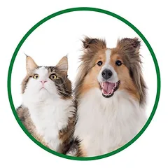 Vet's Best® pirštų dantų šepetėliai, 5 vnt. — 5 nuotrauka